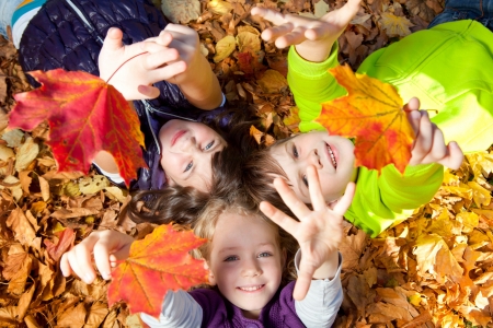 树叶草地可爱儿童摄影高清图片秋天